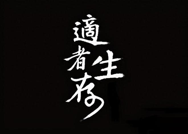 股市的本质是什么？如何找到适合自己的方法？此文很值得股民深读(图3)
